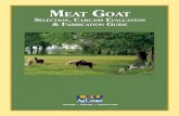 Meat Goat · 2018-03-20 · Goat carcasses in Selection 1 have superior meat conformation with the highest meat-to-bone ratios and highest yields of meat. This carcass has thick leg
