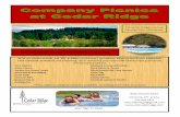 LET US HELP PLAN THE PERFECT PICNIC Flyer Website.pdfPhoto Booth/Old Time Photos Laser Tag Rock Wall Casino Games Carnivals Games & Booths 300’ Slip ’N Slide 18062 Keasey Road