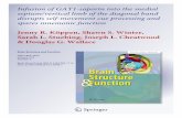 wallacelab.weebly.com · septohippocampal system and cognitive function (for a review see Parent and Baxter 2004). Initial work employed non-selective lesions of the medial septum