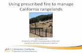 Using prescribed fire to manage California rangelandscesonoma.ucanr.edu/files/288609.pdf · What affects the bottom dollar? • lbs on the truck • 2.5% body weight/day • Unlike