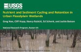 Nutrient and Sediment Cycling and Retention in Urban Floodplain … G N… · Treatise of Geomorphology. Modified from NRC 2002. Difficult Run Floodplain Study measuring sediment