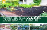 Designing an Edible Landscape in Idahoedible plants offer surprising beauty, form, or fragrance to the landscape. Consider blushing pink cherry blossoms, rosettes of young cabbages,