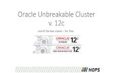 Oracle Unbreakable Cluster v. 12c - 2019.hroug.hr · • Oracle Database EE, Oracle Database XE) • - Any third-party product that directly or indirectly stores data in an Oracle
