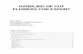 HANDLING OF CUT FLOWERS FOR EXPORT...after harvest with a solution containing sugar. Pulsing is done by standing the cut flowers in solution for a short period, usually less than 24