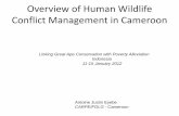 Overview of Human Wildlife Conflict Management in Cameroon Antoin… · Overview of Human Wildlife Conflict Management in Cameroon Linking Great Ape Conservation with Poverty Alleviation