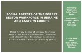 SOCIAL ASPECTS OF THE FOREST Sector SECTOR …foresteurope.org/wp-content/uploads/2017/07/O_Kiyko.pdfinstitution of forest sector,for instance, a public council of forest sector (this