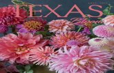 JUNE 2018 TEXAS in Bloom - Texas State Florists …Texas in Bloom THE OFFICIAL PUBLICATION OF THE TEXAS STATE FLORISTS’ ASSOCIATION P.O. Box 170760 | Austin, Texas 78717 | 512.834.0361