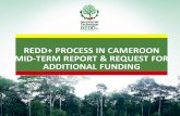 Outline - Forest Carbon Partnership Facility. CAMEROON_MTR...Engagement and participation of CSO and Ips via REDD+&CC platform, and other CSOs not part of the platforms; Ongoing development
