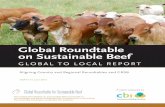 Global Roundtable on Sustainable Beef · The Global Roundtable for Sustainable Beef (GRSB) is a global, multi-stakeholder initiative with a mission to advance continuous improvement