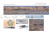 Ornithological trip report QESHM, IRAN Leander Khil ...khil.net/L.Khil-M.Suanjak_2019_trip report Qeshm-Iran.pdf · Qeshm Roof Species list (110) See-see Partridge (Ammoperdix griseogularis)