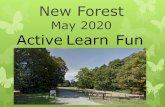 May 2020 Active Learn Funabbastemplecombe.weebly.com/.../parent_presentation_-_may_2020.… · May 2020 Active Learn Fun . Where is it? What are we doing? Time Activity 11am – 3pm