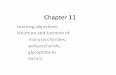 Chapter 11faculty.fiu.edu/~miksovsk/Chapter11.pdfmembered cyclic hemiketal Fructose forms both the pyranose form, which predominates when fructose is free in solution, and a furanose