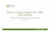 Bishop Creek Project (P-1394) Relicensing...Bishop Creek Fish Distribution: 2019 Study Plan Activities Methods ‒Historic Bishop Creek sites • Block net/multiple-pass backpack shocking