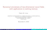 Numerical simulations of two-dimensional neural fields ...plima/ShortCourse/lecture5.pdf · OUTLINE OF THE TALK 1 Introduction 2 Mathematical Formulation and Numerical Algorithms