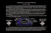 LESSON 1: PLANT CELLS€¦ · LESSON 1: PLANT CELLS LEVEL ONE What is a plant? A quick answer might be “something that is green and has leaves.” But are all plants green? There’s