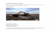 Impacts of Peatland Restoration · REVIEW Peatland Restoration 3 List of Figures and Tables Figure 1 Effects of a lowering water table on vegetation close to a drain/gully 9 Figure