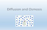 Diffusion and Osmosisdiffusion •Describe how water moves from areas of low concentration of solutes to high concentrations to even the concentrations through osmosis 1. What will