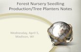 Forest Nursery Seedling Production/Tree Planters Notes · Forest Nursery Seedling Production in the U.S. •Initial development in 2010 •Cooperative involving FIA, S&PF, and land