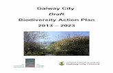 Biodiversity Action Plan 2013 – 2023galwaybiodiversity.com/.../GalwayCityDraftBAP2013_Small.pdfknowledge and understanding of biodiversity, and to protect and enhance the city’s