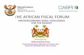 National Treasury Republic of South Africa THE AFRICAN FISCAL … · 2011-12-02 · Republic of South Africa THE AFRICAN FISCAL FORUM MACROECONOMIC RISKS: CHALLENGES FOR THE BUDGET