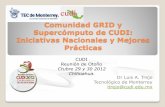 Comunidad GRID y Supercómputo de CUDI: Iniciativas ...Comunidad GRID y Supercómputo de CUDI: Iniciativas Nacionales y Mejores Prácticas Dr Luis A. Trejo Tecnológico de Monterrey