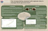 Can encapsulating seaweed with alginate help to manage ...... · Type II diabetes mellitus (DM) is a chronic medical condition resulting from abnormally high post-meal blood glucose