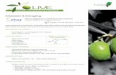 LIVE · 2018-08-02 · • Obtained from the edible part of olive fruits • Physical Purification Methods • Impurities levels conform to USP and PhEur monographs SPECIFICATIONS