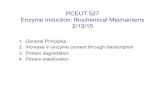 PCEUT 527 Enzyme Induction: Biochemical Mechanisms 2/13/15courses.washington.edu/medch527/PDFs/527_15Thummel... · 2. Increase in enzyme content through transcription 3. Protein degradation