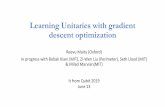 Learning Unitaries with gradient descent optimization qist2019/slides/3rd/... Gradient Descent Numerics
