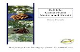 Edible Canarium nuts and fruit - WordPress.com...Edible Canarium Nuts and Fruit Helping the hungry feed themselves Bruce French Important Disclaimer The information found in this book