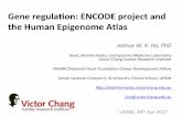 Gene regulaon: ENCODE project and the Human Epigenome Atlas€¦ · The ENCODE Project hLps:// The Encyclopedia of DNA Elements (ENCODE) Consor.um is an internaonal collaboraon of