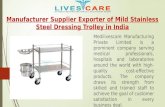 Manufacturer Supplier Exporter of Mild Stainless Steel Dressing Trolley in India