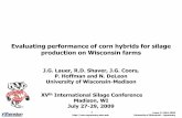 Evaluating performance of corn hybrids for silage production on … · Lauer © 1994-2009 University of Wisconsin –Agronomy Evaluating performance of corn hybrids for silage production