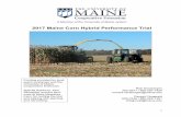 2017 Maine Corn Hybrid Performance Trial · highest NDFD (%of NDF) (measured at 66 and 57.5) were both BMR varieties, which greatly influences NDFD. NDFD is a critical tool to use