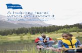 A helping hand when you need it. - The StandardA helping hand when you need it. Rely on the support, guidance and resources of your Employee Assistance Program. Standard Insurance