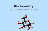 Biochemistry - Home / Homepage€¦ · Biochemistry Carbon and the Molecular Diversity of Life. Carbon Compounds and Life Aside from water, living organisms consist mostly of carbon-based
