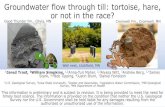 Groundwater flow through till: tortoise, hare, or not in the race? · Groundwater flow through till: tortoise, hare, or not in the race? 1Jared Trost, 2William Simpkins,1,2Anna-Turi