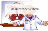 Respiratory System - Universitas Negeri Yogyakartastaff.uny.ac.id/.../3respiratory-system.pdf · • The respiratory tract is constantly exposed to microbes due to the extensive surface