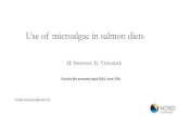 Use of microalgae in salmon diets - Aarhus Universitet€¦ · Salmon fed microalgae. Microalgae research at Nord University. EU/Norwegian funding US Funding. 2009-2011: Defatted