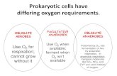 Prokaryotic cells have differing oxygen requirements · Prokaryotic cells have differing oxygen requirements. OBLIGATE AEROBES ANAEROBES Use O 2 for respiration; cannot grow without