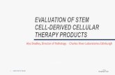 EVALUATION OF STEM CELL-DERIVED CELLULAR THERAPY … · 2018-09-07 · EVALUATION OF STEM CELL-DERIVED CELLULAR THERAPY PRODUCTS 8 EVERY STEP OF THE WAY TYPES OF STEM CELLS - ADULT