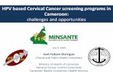 HPV based Cervical Cancer screening programs in Cameroon€¦ · Opportunistic Screening Urban cities: Pap test +++, colposcopy and biopsy Rural areas: See-and-treat strategies (VIA/VILI