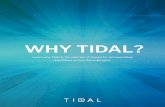 WHY TIDAL?...• Agentless adapters for a multitude of popular enterprise applications — SAP, Oracle ERPs, Informatica and many more • Agent-based or agentless integration with