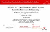AHA/ASA Guidelines for Adult Stroke Rehabilitation and ...thenecc.org/wp-content/uploads/2018/09/Stein_BreakoutC.pdf · • The evidence specific for fall prevention and interventions