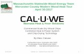 Massachusetts Statewide Wood Energy Team Worcester County ...€¦ · 31.03.2017 Caluwe, Inc –Spanner wood chip CHP 2 Caluwe, Inc. –Biomass Heat & Power Solutions 1993 –2005: