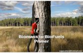 Biomass to BioFuels Primerbiorefinery.utk.edu/technical_reviews/Bioethanol from Wood Facts.pdf14 lbs. of sugar = 1 gallon of ethanol Ton Gallons Ethanol Corn 98 Sugarcane 20 Sugar
