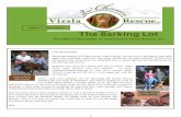 Barking Lot 17 Spring 2017 - 2nd Chance Vizsla Rescue, Inc. Lot 17... · 2017-06-07 · 1 The Barking Lot The O!cial Newsletter of 2nd Chance Vizsla Rescue, Inc. Volume 17 Spring