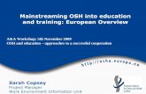 Mainstreaming OSH into education and training: European ...A_WS___Mainstreaming_OSH_i… · active learning resources and approaches o OSH authorities etc. supporting universities