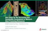 Next Steps for the Successful and Sustainable Development ... · Next Steps for the Successful and Sustainable Development of Mexico’s Most Promising Resources ... Business complexity