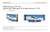 Plasma TV & Grand Wega Projection TV - ePanorama Plasma Training - tvp13.pdf · Troubleshooting..... 63 28. Video Process .....65. 1 Sony Model KZ-32TS1U // KZ-41TS1U TV Diagnostic